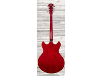 Sire LARRY CARLTON H7 STR Sire LARRY CARLTON H7 STR
